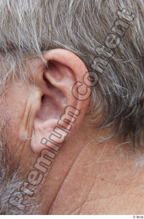 Street  659 ear 0001.jpg